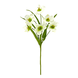 Daffodil pick