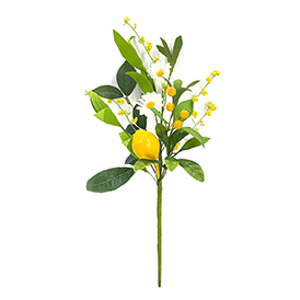 Lemon and berry pick