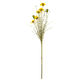 Yellow wild flowers stem