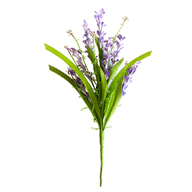 Lavender leaves pick