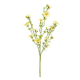 Spring flower pick