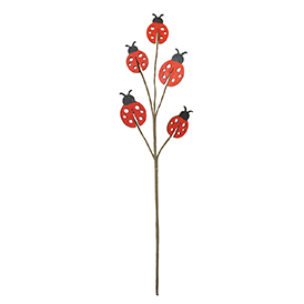 Ladybirds pick