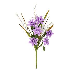 Daffodil pick purple