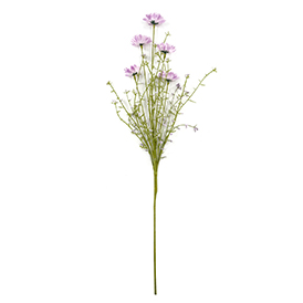Purple wild flowers stem
