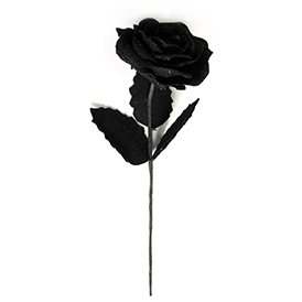 Eva flower pick