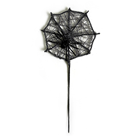 A spider web pick