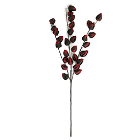 Red black rose spray
