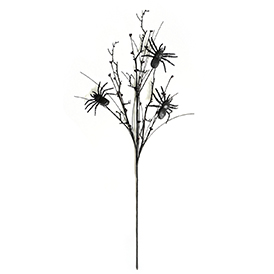 Black spider spray2