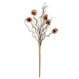 Orange spider web stem