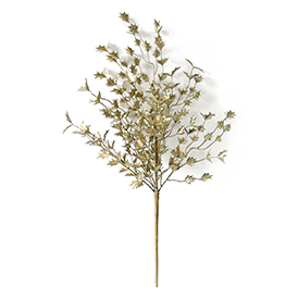 Golden christmas leaf bush
