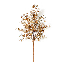 Golden leaf bush