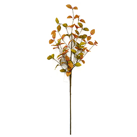 Autumn leaf spray