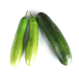 Cucumber