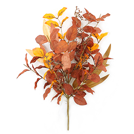 Beech Leaves bush