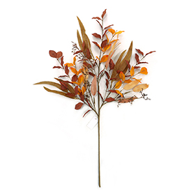Beech leaves spray
