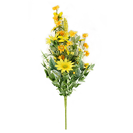 Daisy Bush
