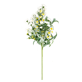 Daisy Stem