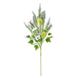 Daisy Stem