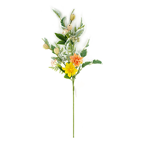 Daisy Stem