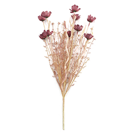 Daisy Bush
