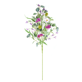 Daisy Stem