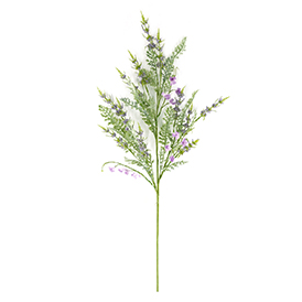 Wildflower Stem