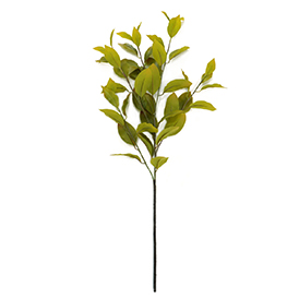 Greenery Stem