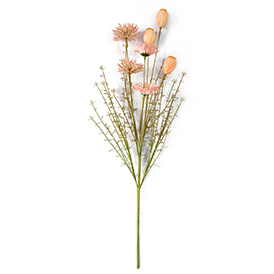 Daisy Bush