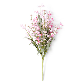 Wildflower Bush