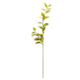 Greenery Stem
