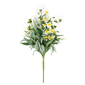 Daisy Bush