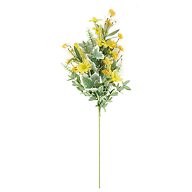 Daisy Stem