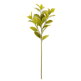 Greenery Stem