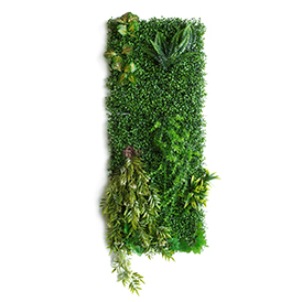 Greenery Wall (25)