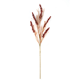 Heather Grass Stem