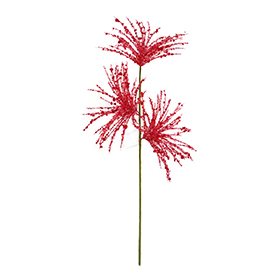 Starburst Stem