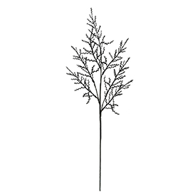 Twig Stem