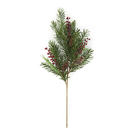 Berry Stem