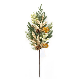 Orange Stem