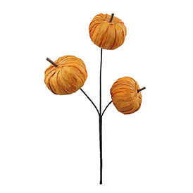 Pumpkin Pick