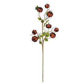 Pumpkin Stem