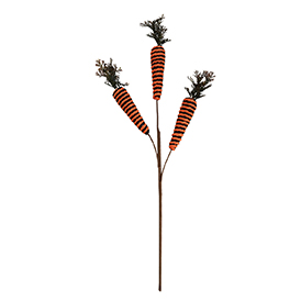 Carrot Stem