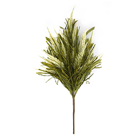 Heather Grass Bush