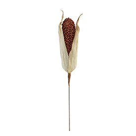 Corn Pick