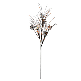 Spider Web Stem