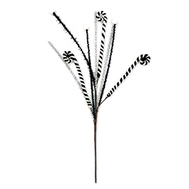 Cane Stem
