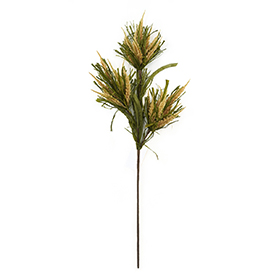 Heather Grass Stem