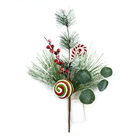 Christmas Bush