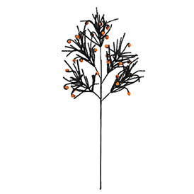Berry Stem