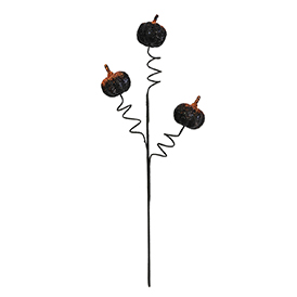Pumpkin Stem